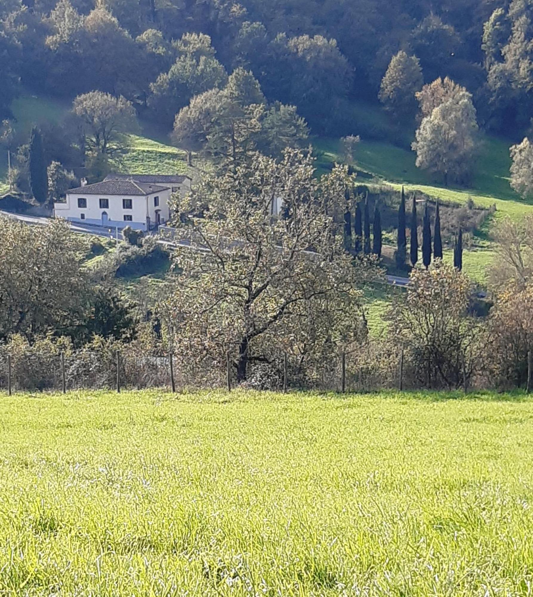 Casa Al Miglio Villa Pratolino Exterior photo